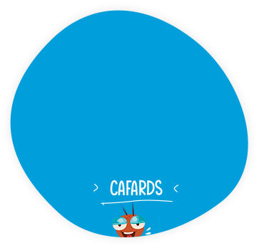 Cafards