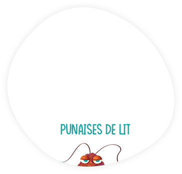 Punaises de lit